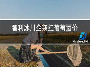智利冰川企鹅红葡萄酒价格