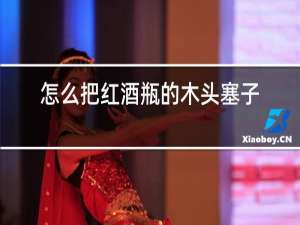 怎么把红酒瓶的木头塞子打开