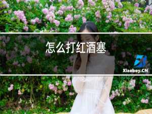 怎么打红酒塞