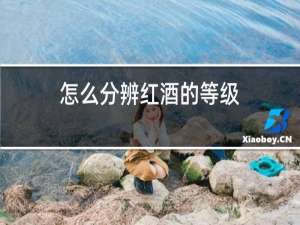 怎么分辨红酒的等级