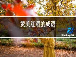 赞美红酒的词语