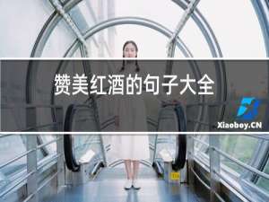 赞美红酒的句子大全