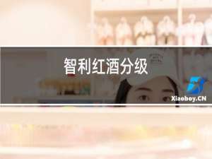 智利红酒分级