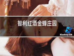 智利红酒金蜂庄园