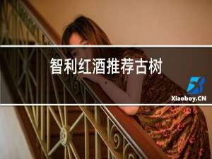 智利红酒推荐古树