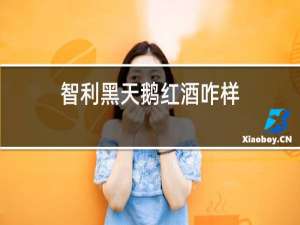 智利黑天鹅红酒咋样