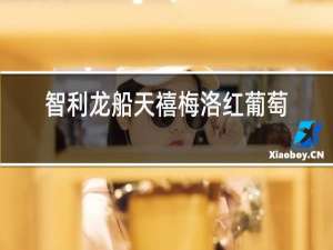 智利龙船天禧梅洛红葡萄酒
