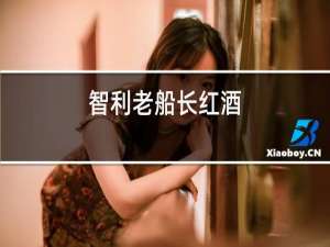 智利老船长红酒