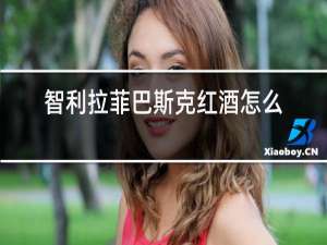 智利拉菲巴斯克红酒怎么样