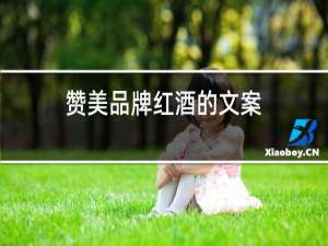 赞美品牌红酒的文案