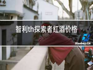 智利th探索者红酒价格