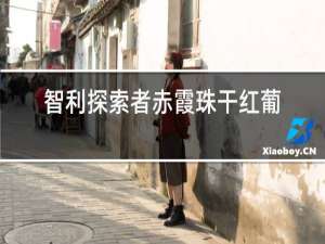 智利探索者赤霞珠干红葡萄酒