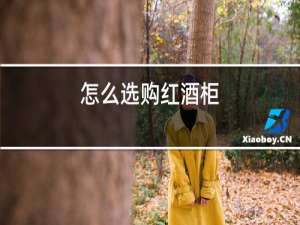 怎么选购红酒柜