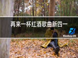 再来一杯红酒歌曲新四一季歌