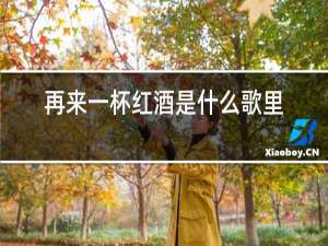 再来一杯红酒是什么歌里面歌词
