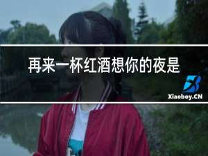 再来一杯红酒想你的夜是什么歌