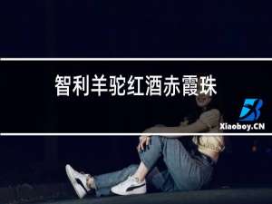 智利羊驼红酒赤霞珠