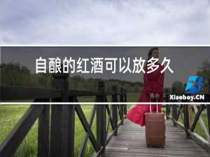 自酿的红酒可以放多久