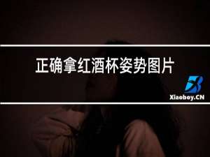 正确拿红酒杯姿势图片