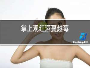 掌上观红酒蔓越莓