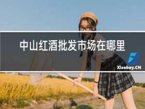 中山红酒批发市场在哪里