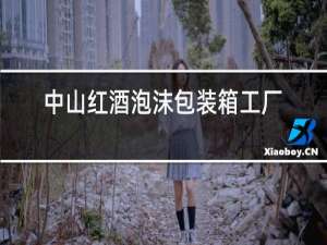 中山红酒泡沫包装箱工厂