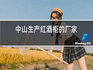 中山生产红酒柜的厂家