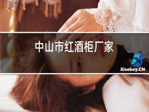 中山市红酒柜厂家