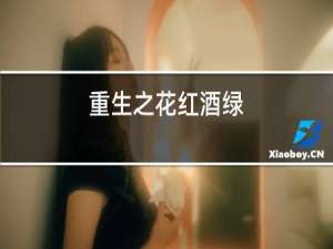 重生之花红酒绿