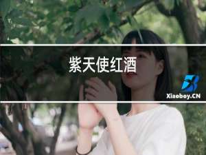 紫天使红酒