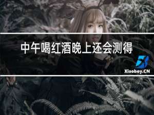 中午喝红酒晚上还会测得出来吗