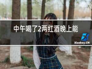 中午喝了2两红酒晚上能开车吗