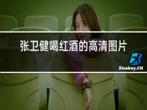 张卫健喝红酒的高清图片