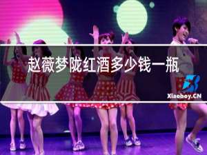赵薇梦陇红酒多少钱一瓶华夏长城