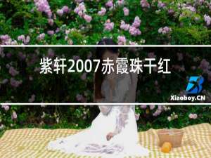 紫轩2007赤霞珠干红葡萄酒