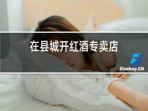 在县城开红酒专卖店