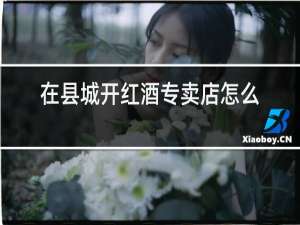 在县城开红酒专卖店怎么样