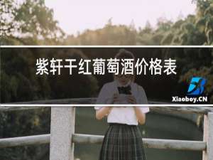 紫轩干红葡萄酒价格表