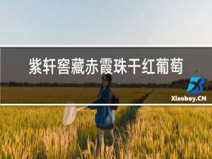 紫轩窖藏赤霞珠干红葡萄酒价格表