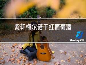 紫轩梅尔诺干红葡萄酒