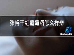 张裕干红葡萄酒怎么样辨别真假