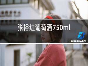张裕红葡萄酒750ml多少钱一瓶