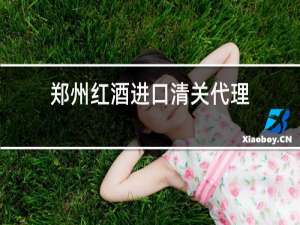 郑州红酒进口清关代理