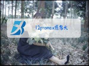 12promax摄像头进灰