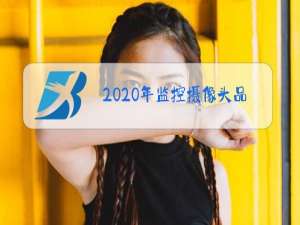 2020年监控摄像头品牌排行