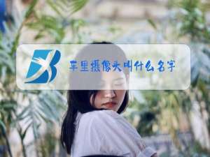 车里摄像头叫什么名字