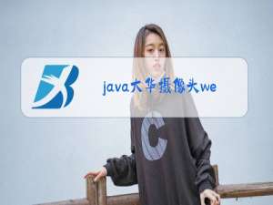 java大华摄像头web