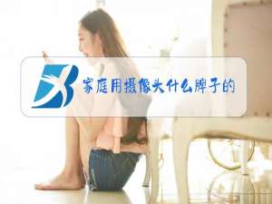 家庭用摄像头什么牌子的经济实惠