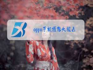 oppo手机摄像头被占用如何解除