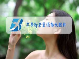 苹果8p后置摄像头图片